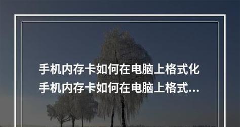 电脑文件格式化后的恢复方法大揭秘（从失而复得）